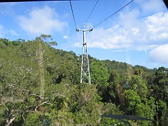 CairnsTC333 Kuranda
